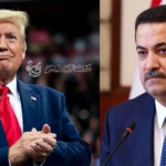 لماذا لم يسقط النظام السياسي؟