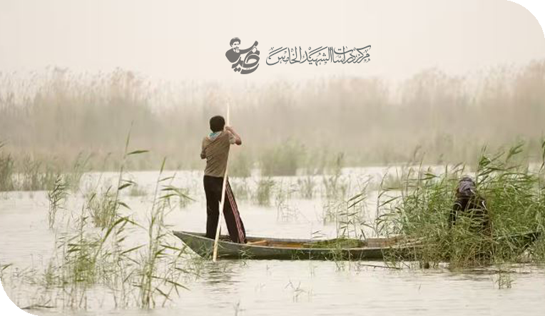 الأهوار رئة العراق الاقتصادية
