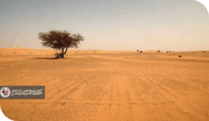 بحر من المياه العذبة تحت أقدام العراقيين... والعبرة في الاستثمار المستدام!