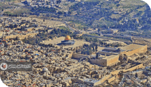 فلسطين بأقلام الباحثين