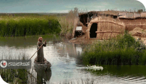 الأهوار العراقية: فردوس القصب على حافة الفناء؛ بقلم يورغن غوتشليش من الناصرية/الجبايش