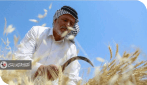 ياسر المتولي