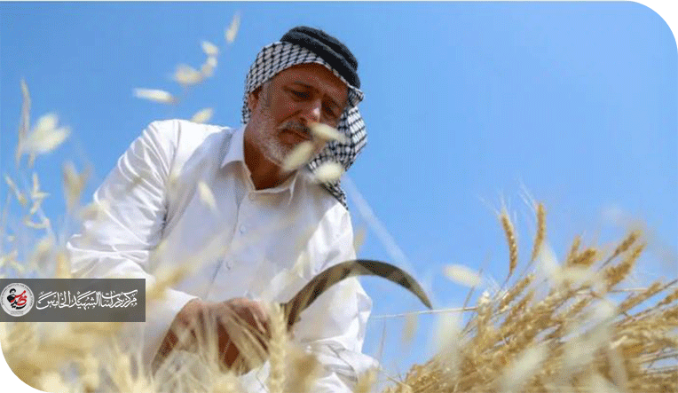 ياسر المتولي