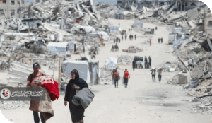 فلسطين بوصلة الثقافة الانسانية المعاصرة