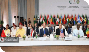 لاعرب ولا عروبة في ضل التخبطات السياسية للقمة العربية...