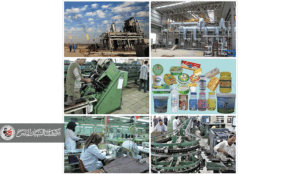 دور التصنيع المحلي في صناعة السياسات الاقتصادية في العراق