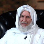 عبد الناصر الجنابي وهم المعارضة