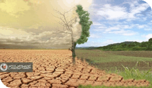 العراق في مؤتمر COP16: استدامة الأراضي والتعاون الدولي