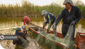 خور عبدالله... والماء الذي يبتلع الكرامة
