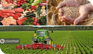 الأمن الغذائي احد متطلبات ومرتكزات الأمن الوطني العراقي