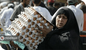 أسباب ارتفاع أسعار البيض في العراق