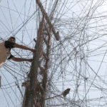 الأمطار والكهرباء.. البارومتر “الموسمي” للفشل الحكومي !!