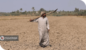 لماذا يعجز العراق عن استعادة الصناعة والزراعة وتنويع الاقتصاد؟