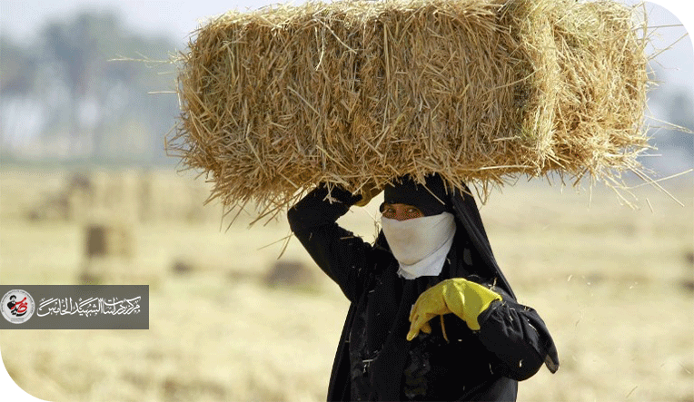 فلسفة خروج المرأة المسلمة إلى العمل وأثره في البناء التربوي والأخلاقي للأسرة والمجتمع (المرأة العراقية أنموذجًا)