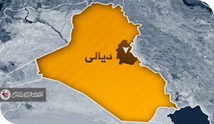 ديالى سرقات علنية وخدمات “مزاجية” والتعويضات لمن يدفع “المعلوم”!!