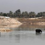 نهر ديالى… رحلة السموم الكبرى من بغداد إلى الأهوار