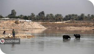 نهر ديالى… رحلة السموم الكبرى من بغداد إلى الأهوار