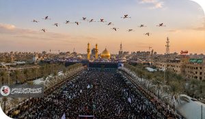 طيور عابرة أم أرواح سائرة؟
