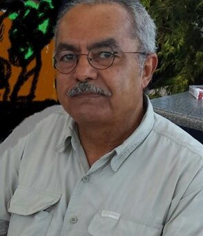 علاء اللامي