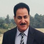 کامل الصافي الموسوي